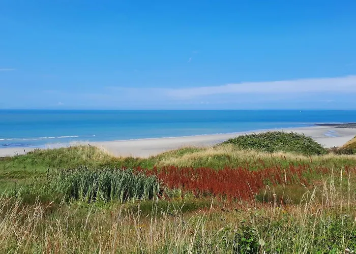 Le 246 - Duplex Face A La Mer Pour 4 Personnes, Wifi, Tv Full Sat, Parking